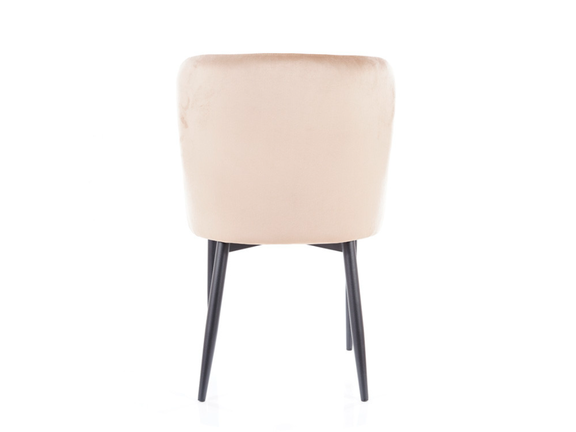 Kėdė COLIN B VELVET 3