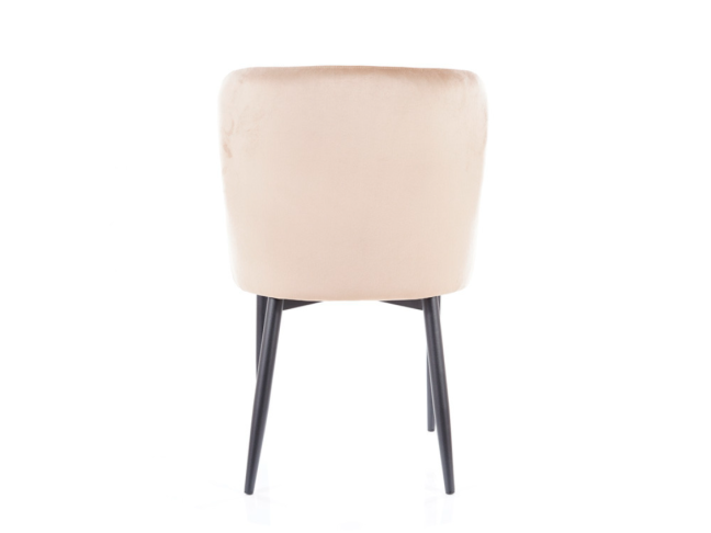 Kėdė COLIN B VELVET 3