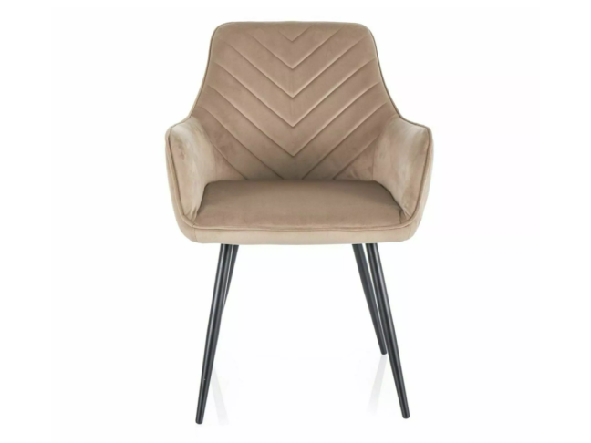 Kėdė FIG VELVET 1