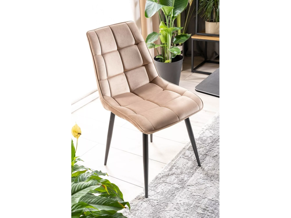 Kėdė CHIC VELVET 4