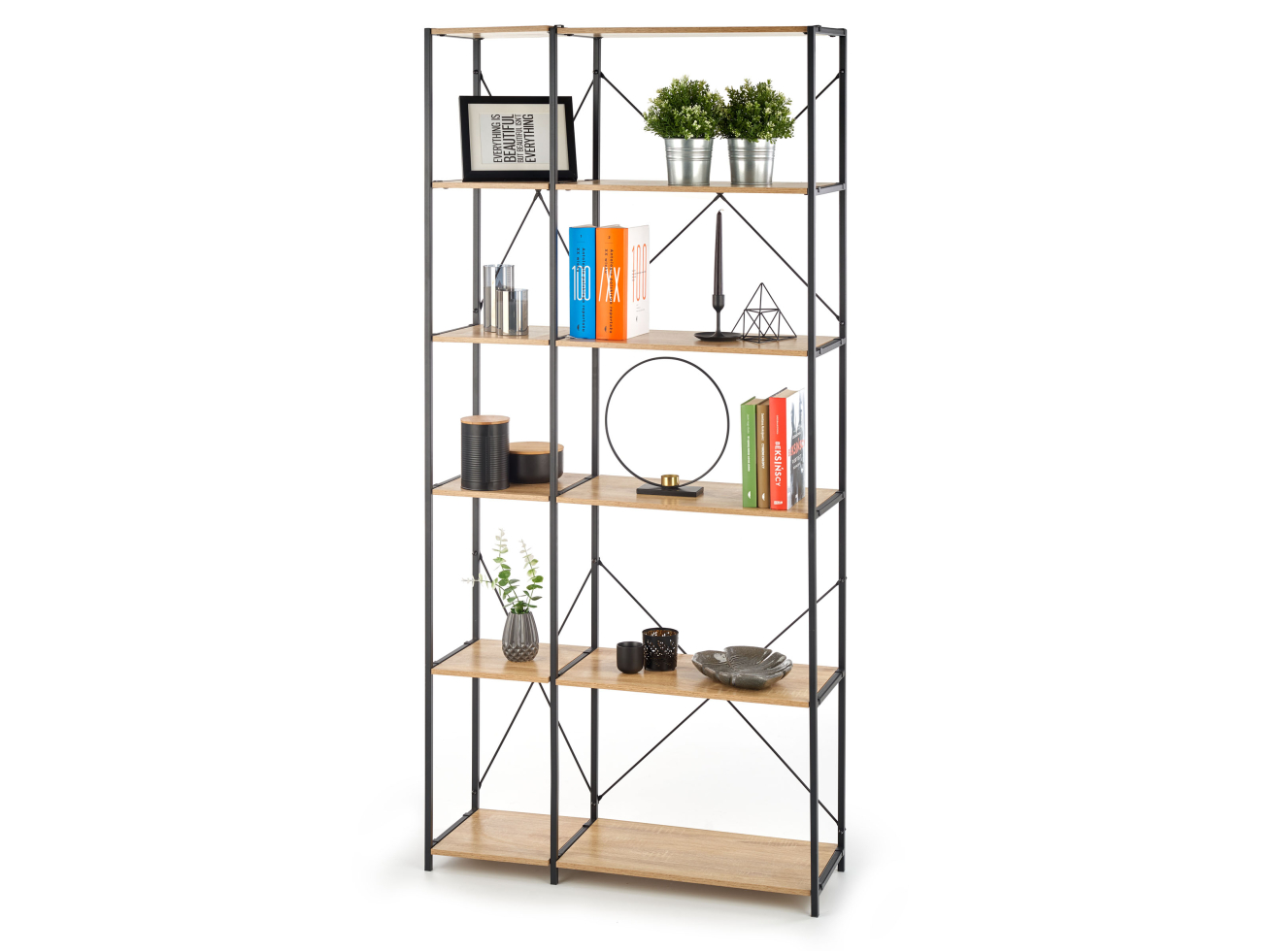 Lentyna REG-19 1 Lentyna REG-19 1