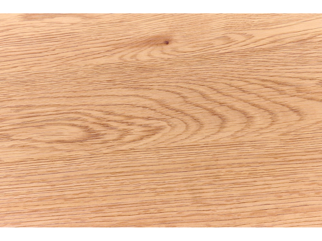 Lentyna REG-21 8 Lentyna REG-21 8