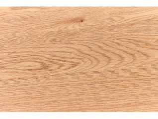 Lentyna REG-21