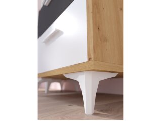 Pastatoma lentyna HEY-16