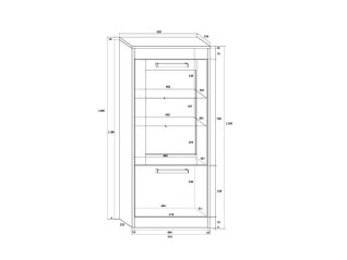 Pastatoma lentyna MXS-25
