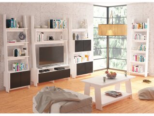 Pastatoma lentyna RAC-04