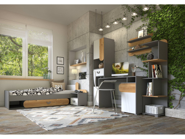 Pastatoma lentyna CARINI CA5 2