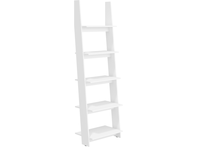 Pastatoma lentyna RAC-03 1