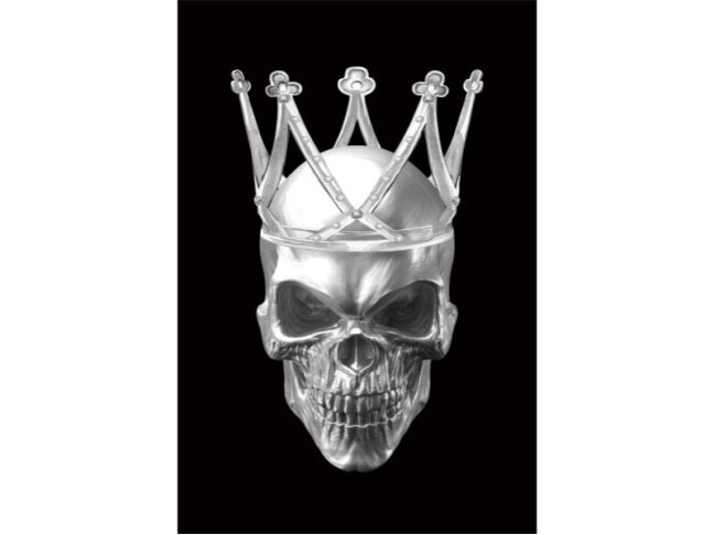 Paveikslas SKULL II