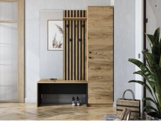 Prieškambaris ZARIS