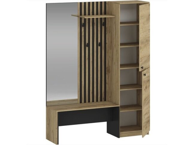 Prieškambaris ZARIS 1 Prieškambaris ZARIS 1