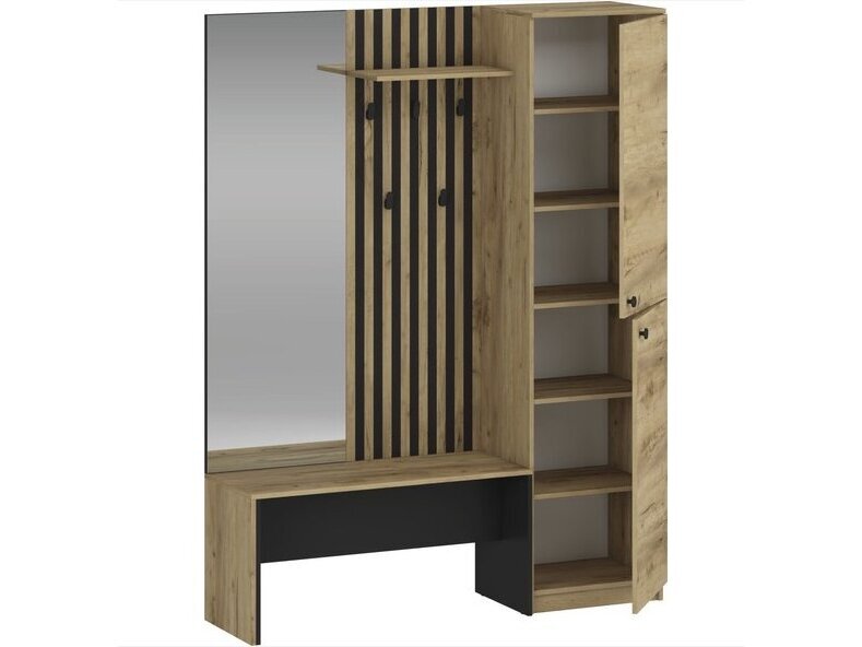 Prieškambaris ZARIS 1 Prieškambaris ZARIS 1