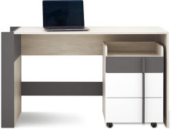 Rašomasis stalas RM10