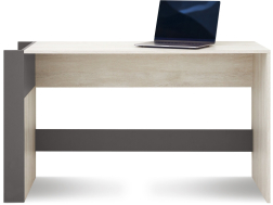 Rašomasis stalas RM10