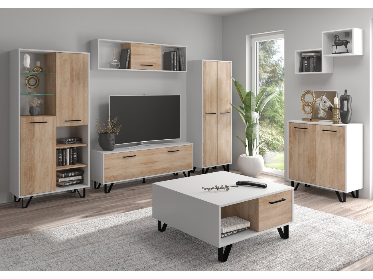 Svetainės baldų komplektas BOSS 1 11