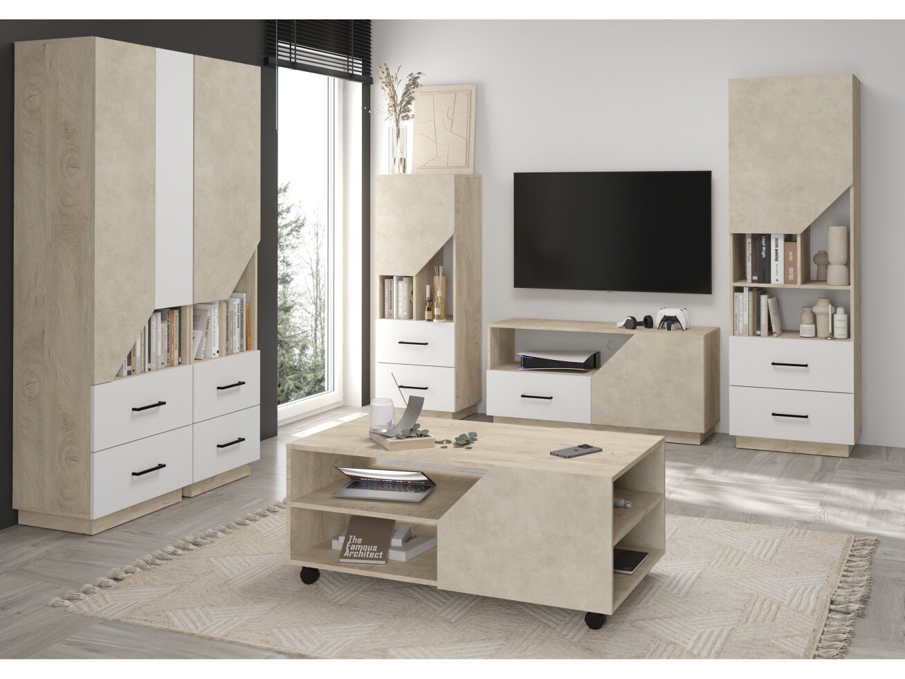 Svetainės baldų komplektas PAX 2 10