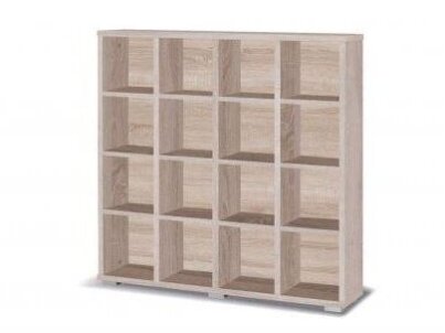 Lentyna MAXIMUS M21 6