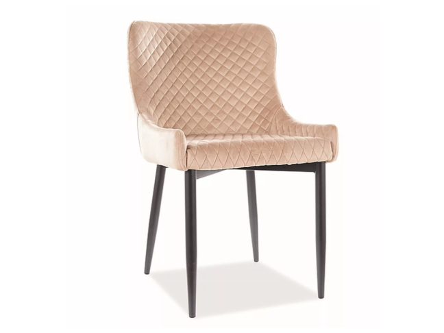 Kėdė COLIN B VELVET 8 Kėdė COLIN B VELVET 8