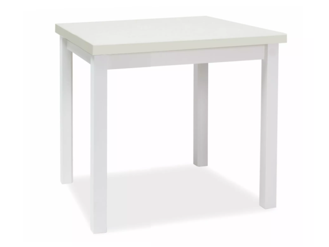 Stalas ADAM 90x65 9