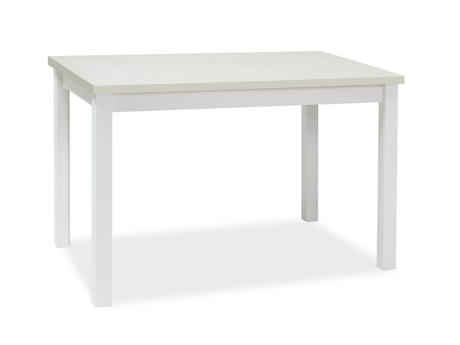 Valgomojo stalas ADAM 100x60 11