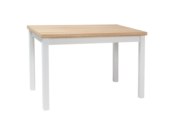 Valgomojo stalas ADAM 100x60 8