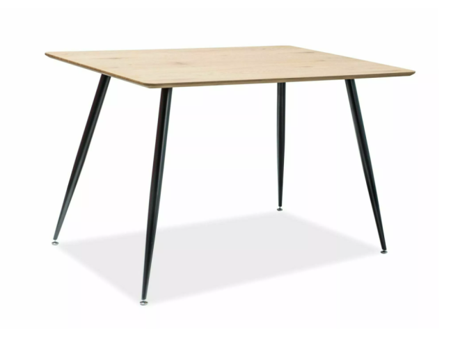 Valgomojo stalas REMUS 4