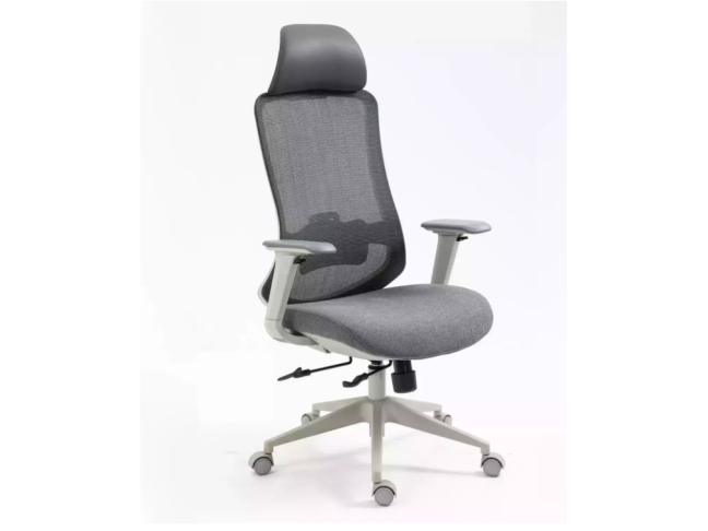 Ergonominė darbo kėdė ERGON 17