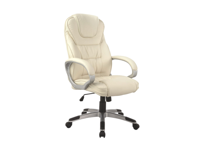 Darbo kėdė Q-031 5