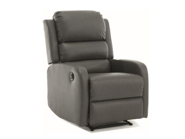 Išskleidžiamas fotelis PEGAZ BUFFALO 2