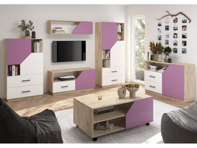 Svetainės baldų komplektas PAX 1 8 Svetainės baldų komplektas PAX 1 8