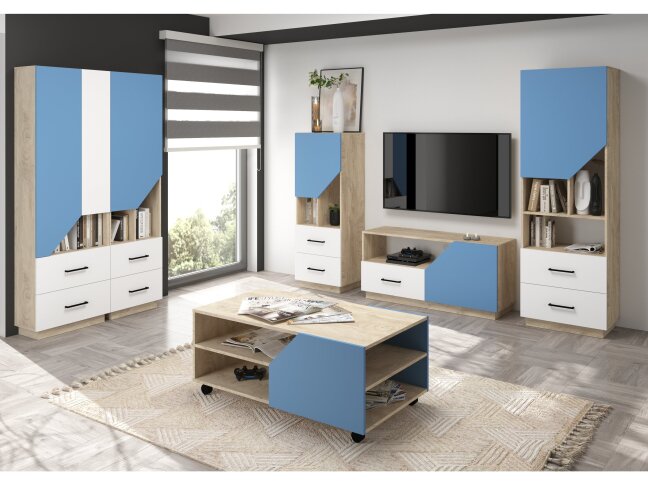 Svetainės baldų komplektas PAX 2 11