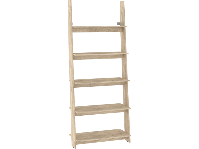 Lentyna RAC-06 9 Lentyna RAC-06 9