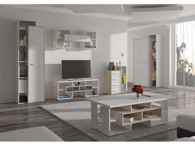 Svetainės baldų komplektas RIO 2 8