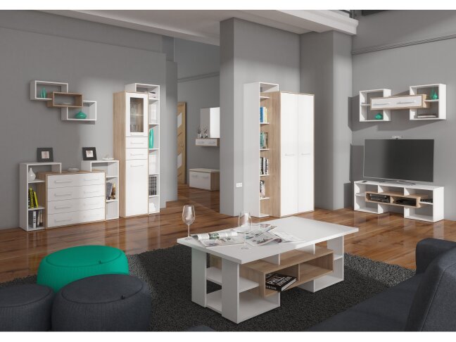 Svetainės baldų komplektas RIO 4 11