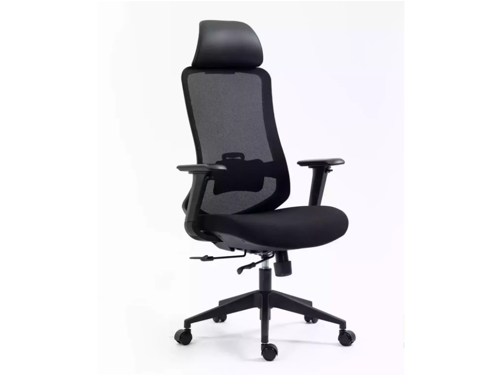 Ergonominė darbo kėdė ERGON 16