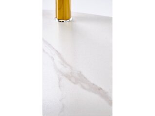 Stiklinis žurnalinis staliukas DUCAT