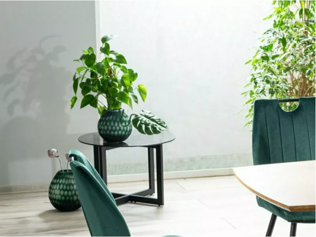 Stiklinis kavos staliukas ALMERIA B 1 Stiklinis kavos staliukas ALMERIA B 1