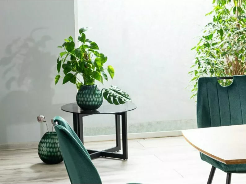 Stiklinis kavos staliukas ALMERIA B 1