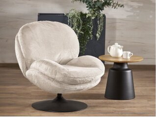 Sukamas fotelis SHELL