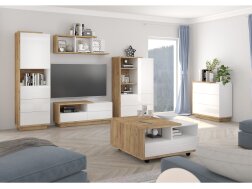 Svetainės baldų komplektas HYBRID 1