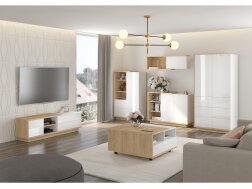 Svetainės baldų komplektas HYBRID 5