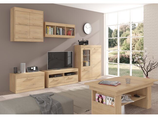 Svetainės baldų komplektas MAXIMUS 1