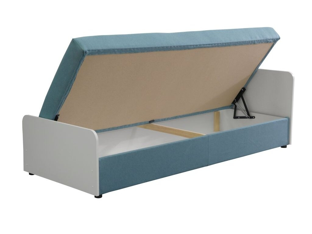 Tachta JAS 1 Tachta JAS 1