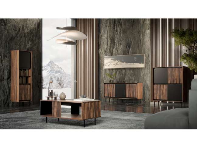 TV staliukas SWING RTV-1 6 TV staliukas SWING RTV-1 6