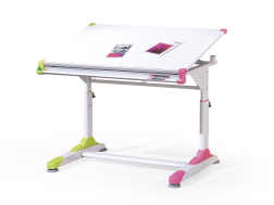 Vaikiškas rašomasis stalas COLLORIDO