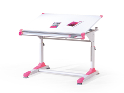 Vaikiškas rašomasis stalas COLLORIDO