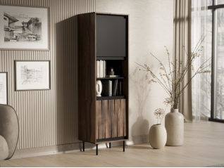 Vitrina SWING W-1