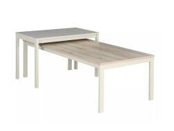 Žurnalinis staliukas FROST L1