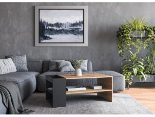 Žurnalinis staliukas MURCIA